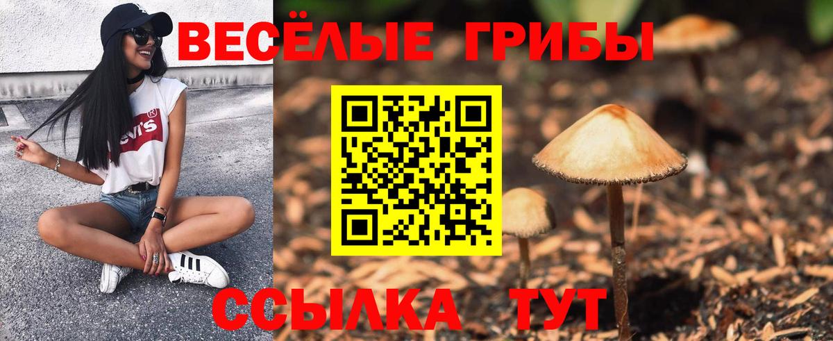 Галлюциногенные грибы Cubensis Баксан