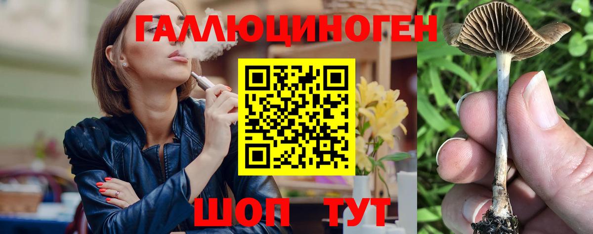 Баксан  Галлюциногенные грибы GOLDEN TEACHER  Вход с VPN 